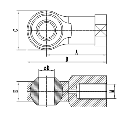 Articulación ojo de pez.png