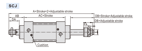 Cylindre standard SCJ .png